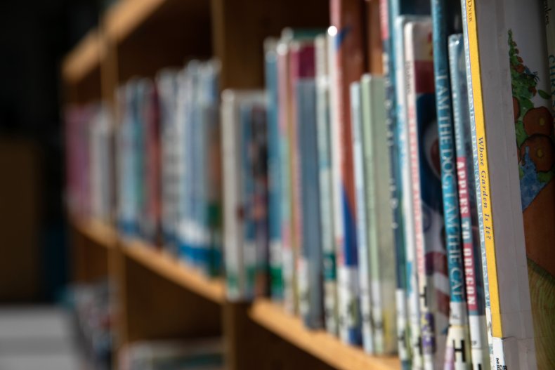 School Library Shelves