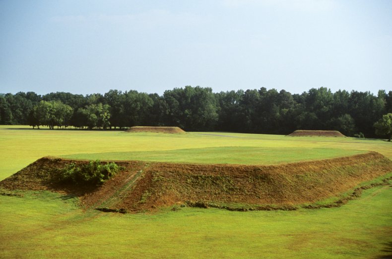 Petition, Moundville, Human Remains, Artifacts