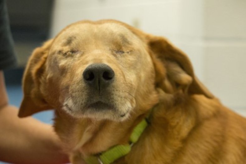 Rusty after eye surgery
