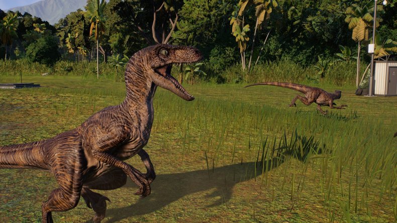 Jurassic World Evolution 2 Velociraptor