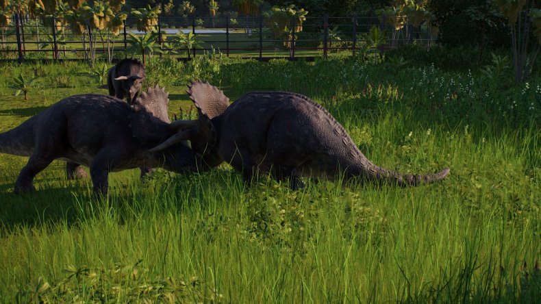 Jurassic World Evolution 2 Triceratops