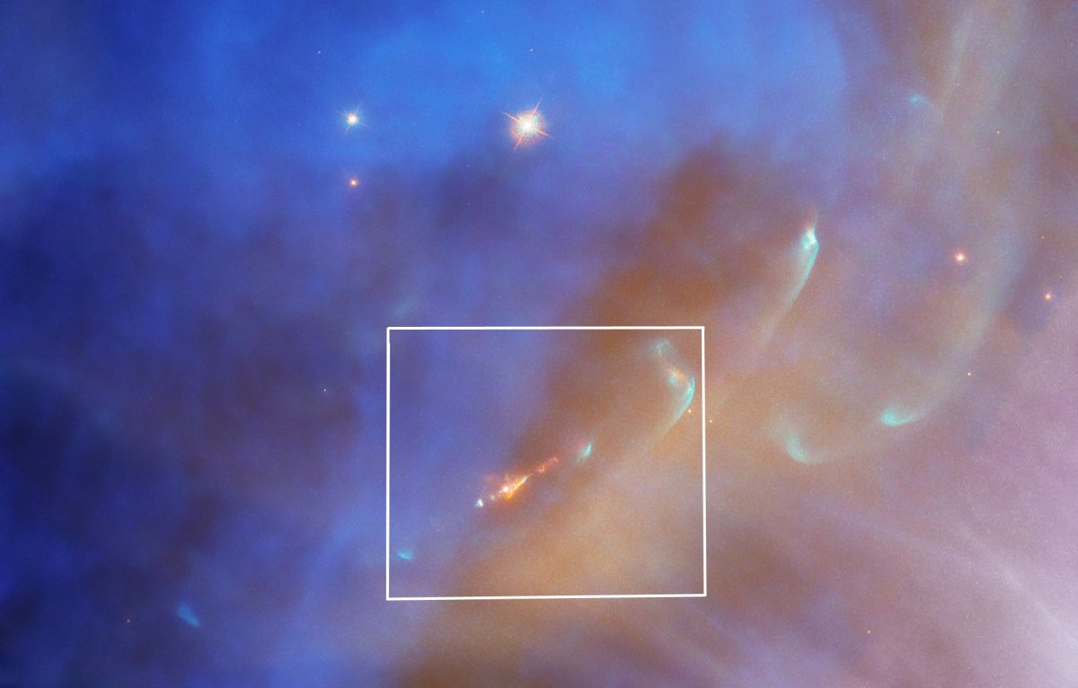 NGC 1977 star