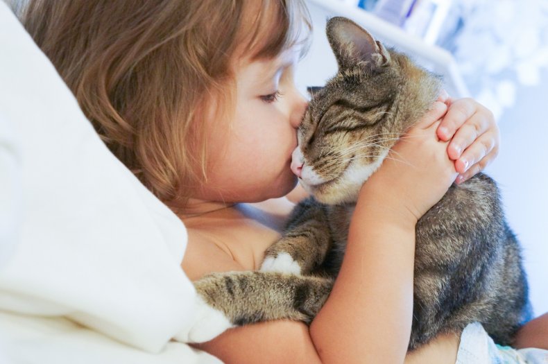 Child kissing a cat 
