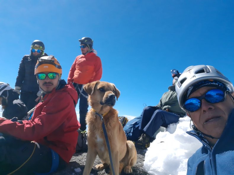 Canelo And The Mountaineers