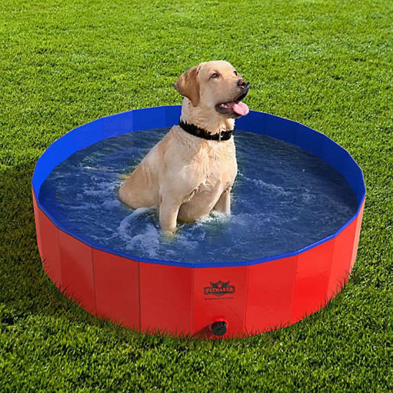 Petmaker Folding Pet Pool