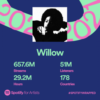 Spotify Artist Wrapped 2021 Willow Share Card