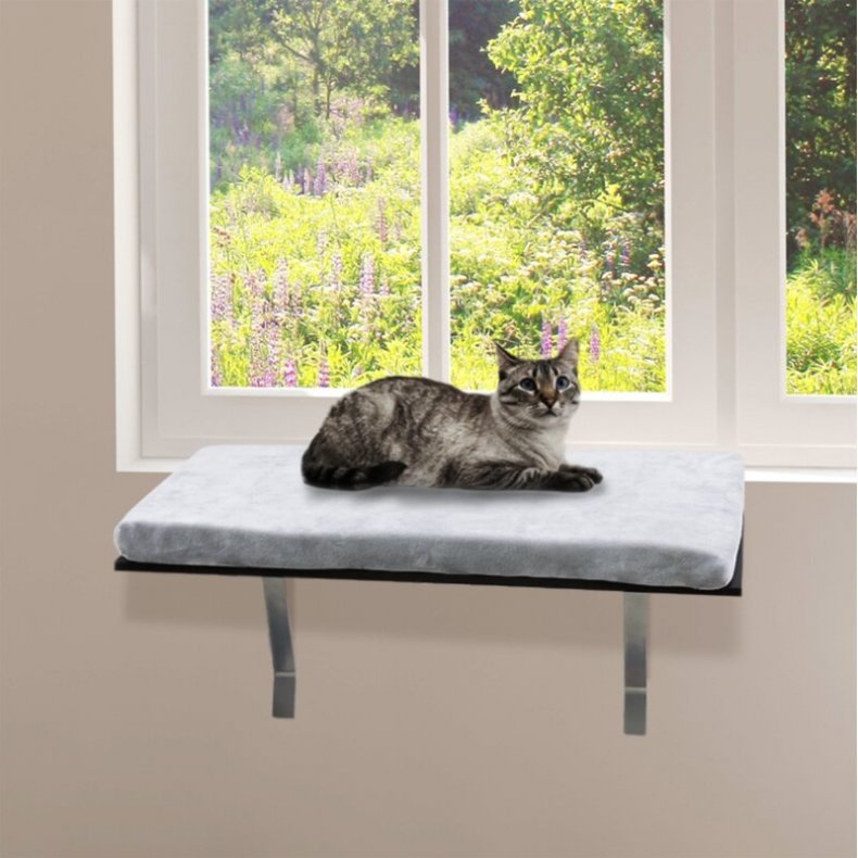 Tucker Murphy Pet Becerra Rectangle Cat Bed