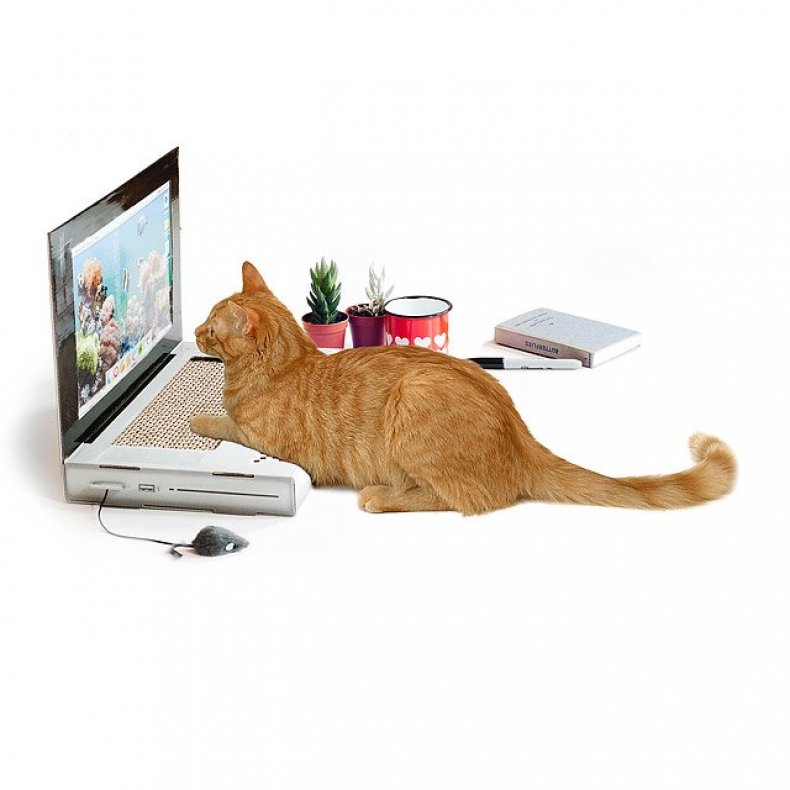 Laptop Scratching Pad