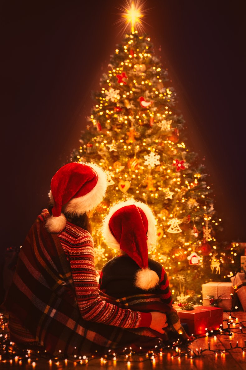 Two people looking at a Christmas tree.