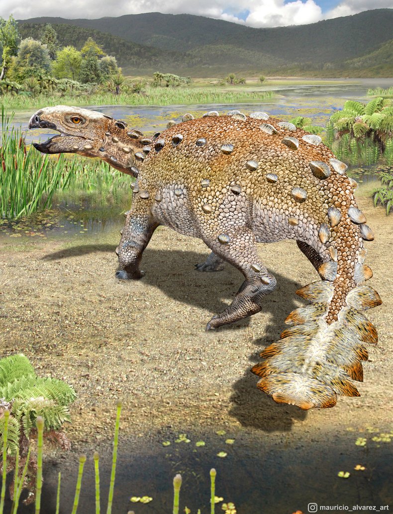 Dinosaur, Fossil, Chile