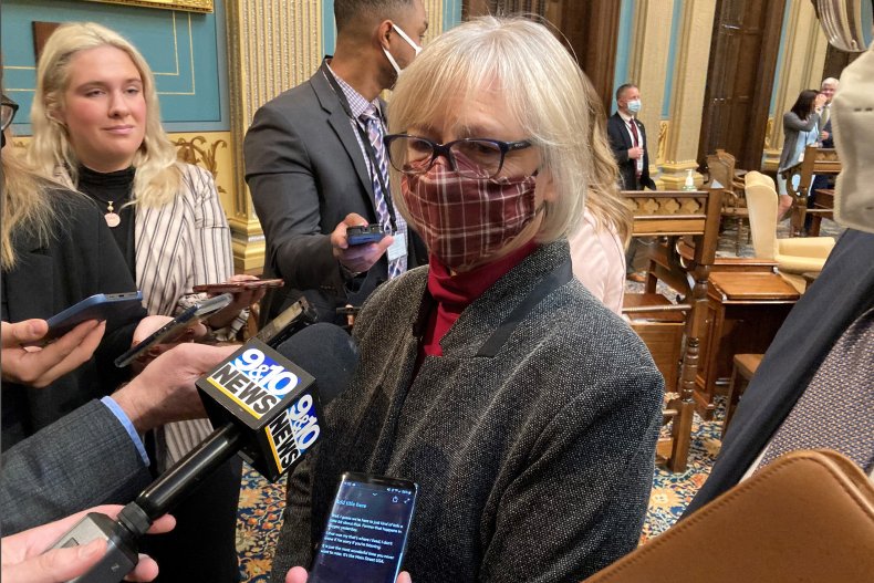 Rosemary Bayer, Michigan, Gun Control, Legislation