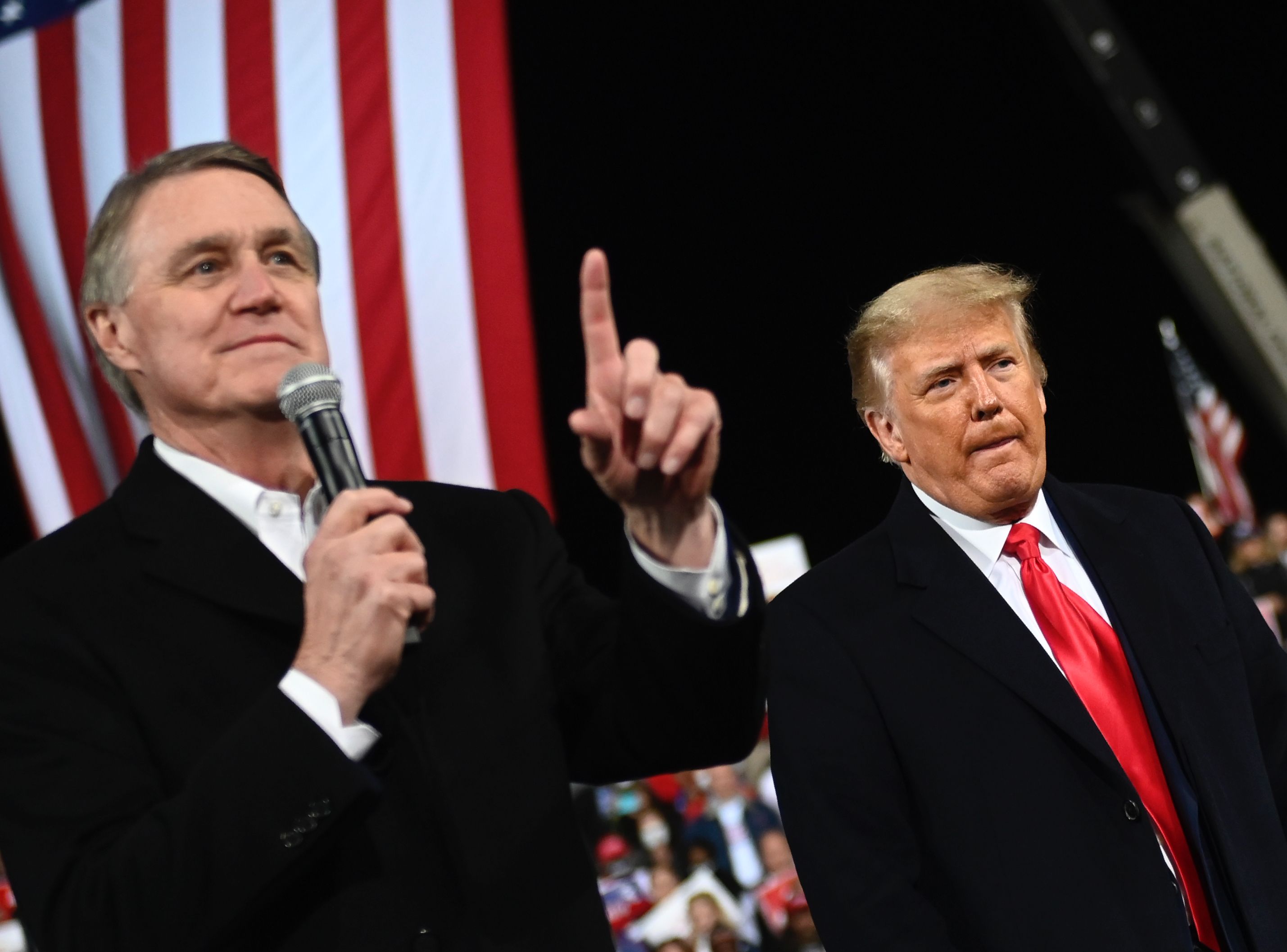 David Perdue Republican Georgia Donald Trump