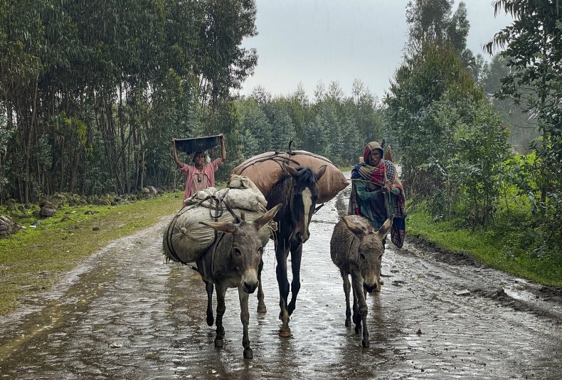Villagers, donkey, Ethiopia