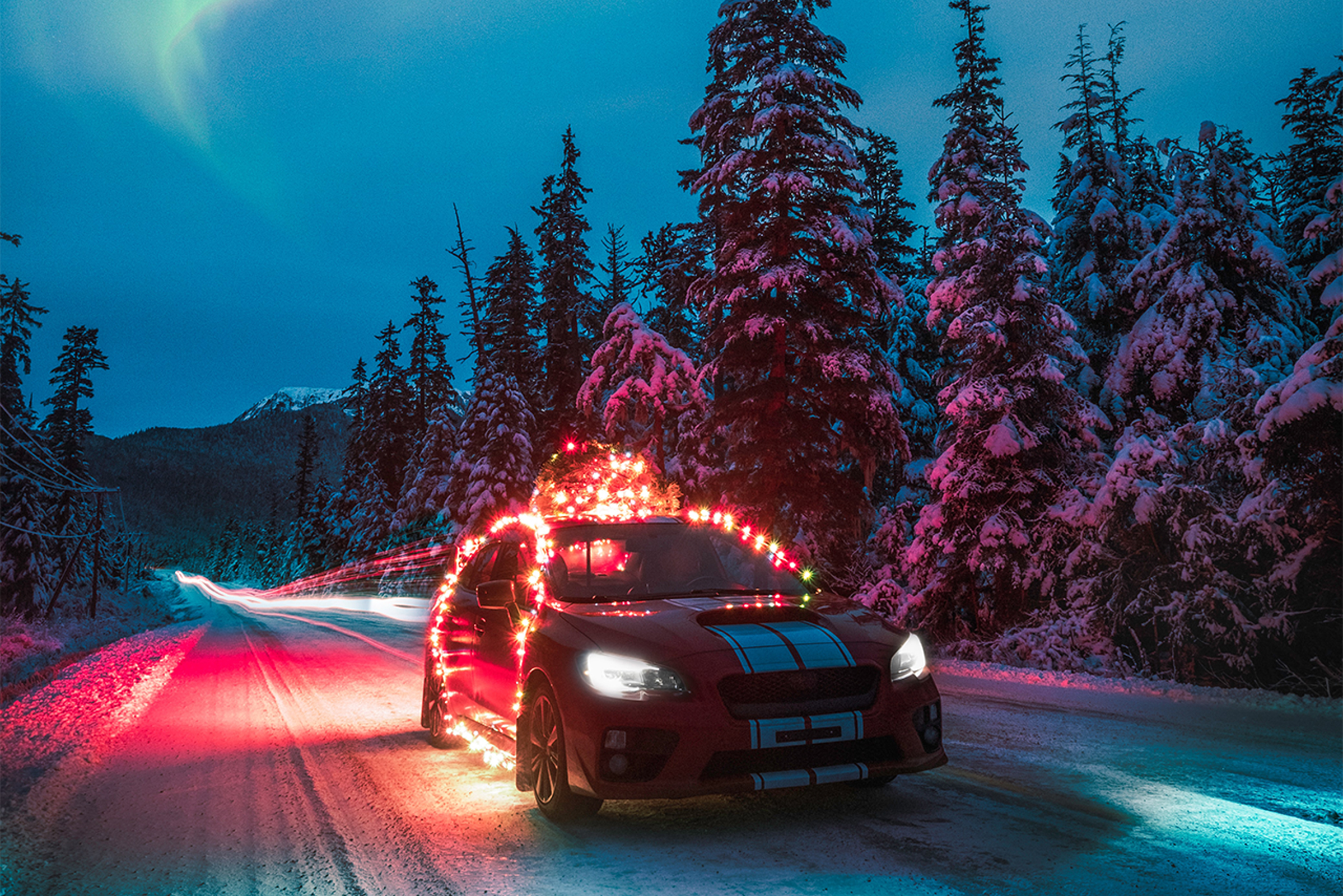 Cars decorated for Christmas