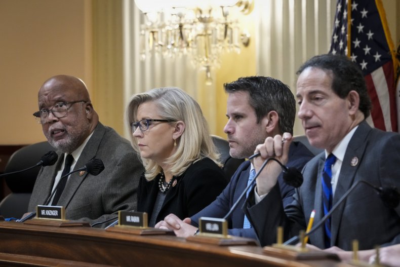Bennie Thompson, Liz Cheney, Capitol Insurrection Interviews