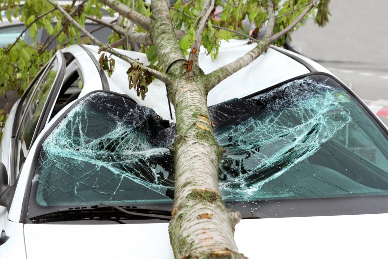 A car crashed into a tree.