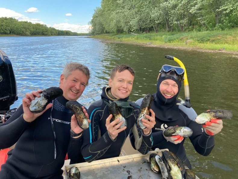 Spectaclecase mussels found in St. Croix River