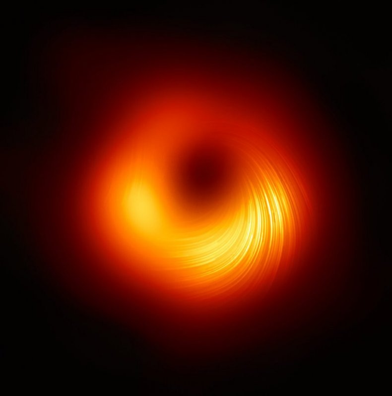 M87 Black Hole in Polarized Light