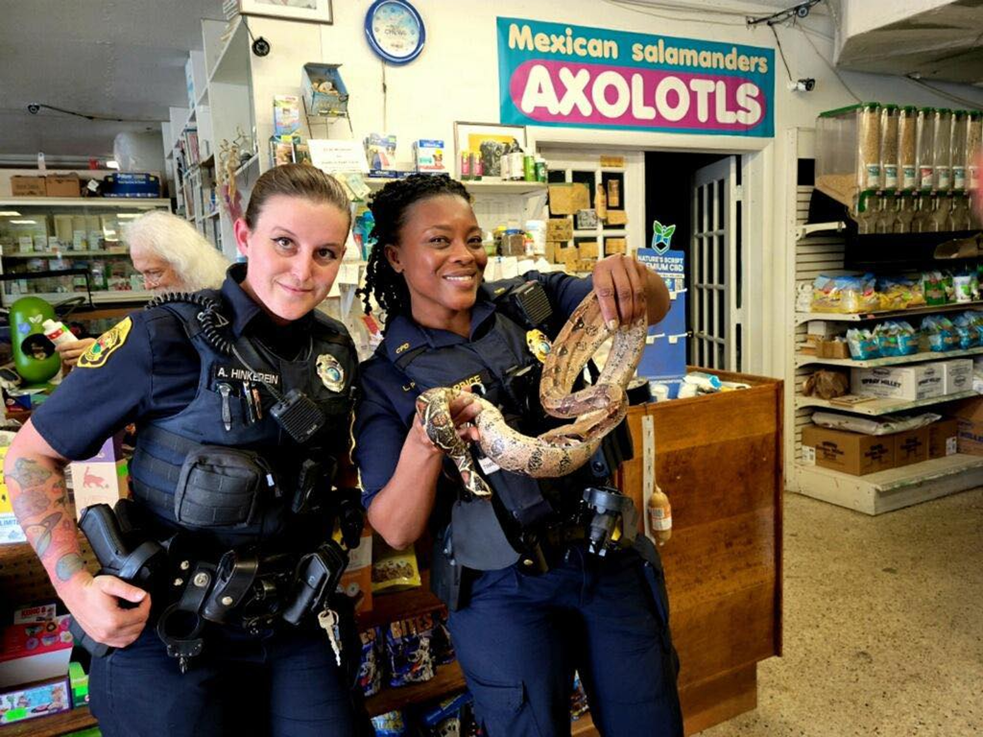 pet boa constrictor in mobile home park