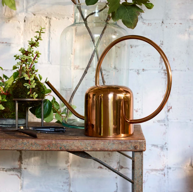 best gifts for plant lovers 1