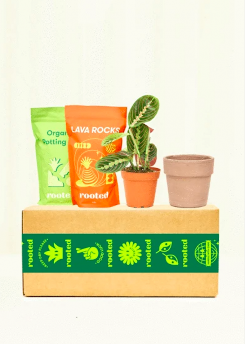 best gifts for plant lovers 2