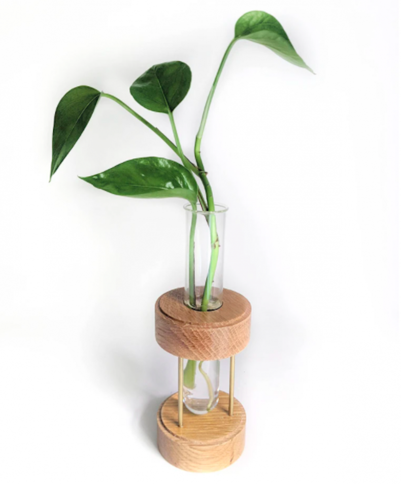 best gifts for plant lovers 4