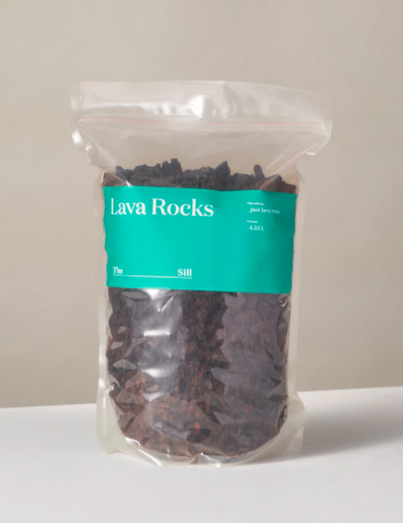 best gifts for plant lovers 5