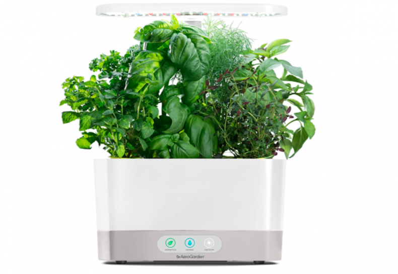 best gifts for plant lovers 6