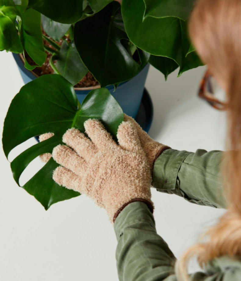 best gifts for plant lovers 8
