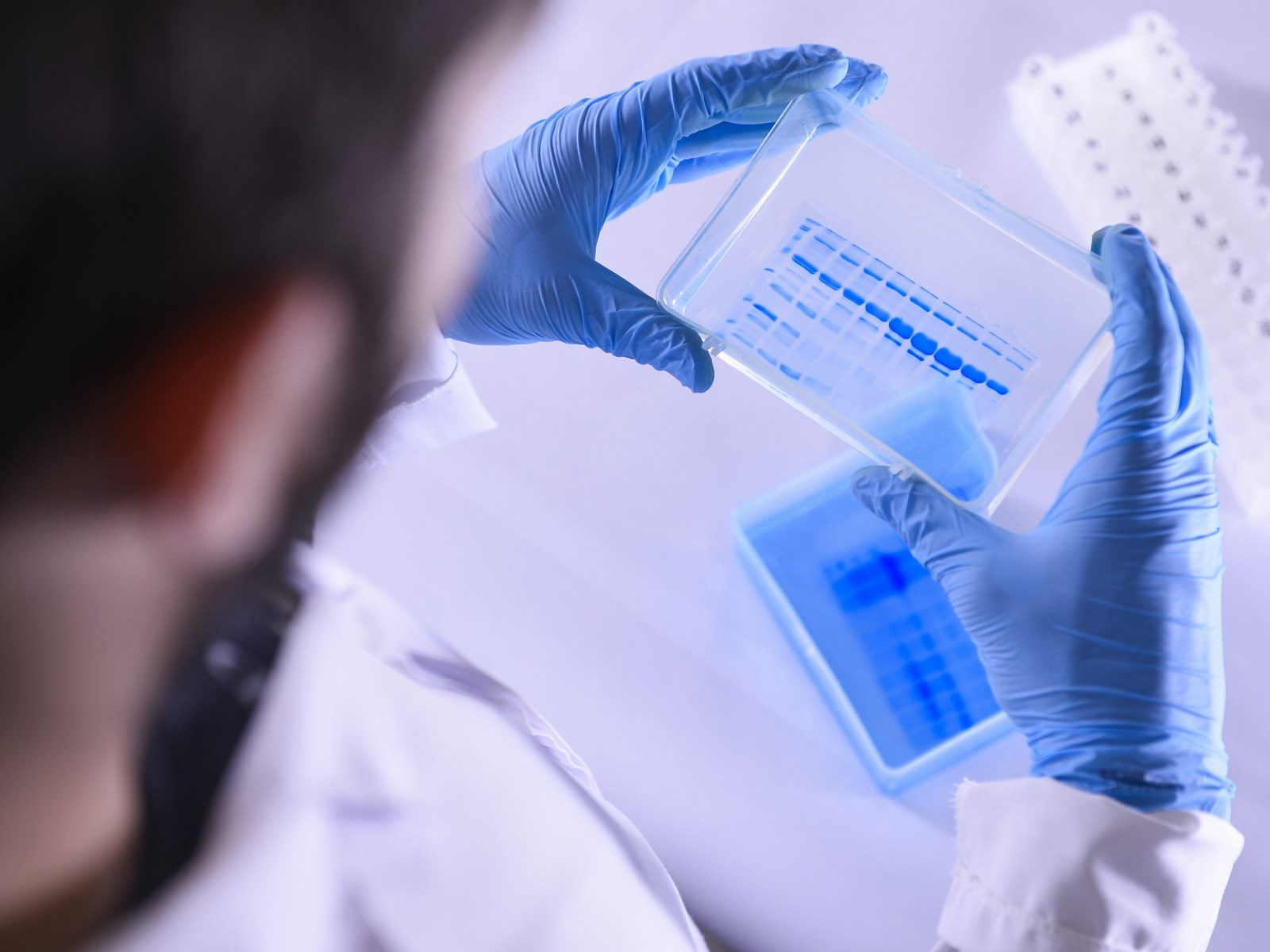 Japanese Scientists Claim Vaccine Removes 'Zombie' Cells Behind 'Aging-Related Diseases'