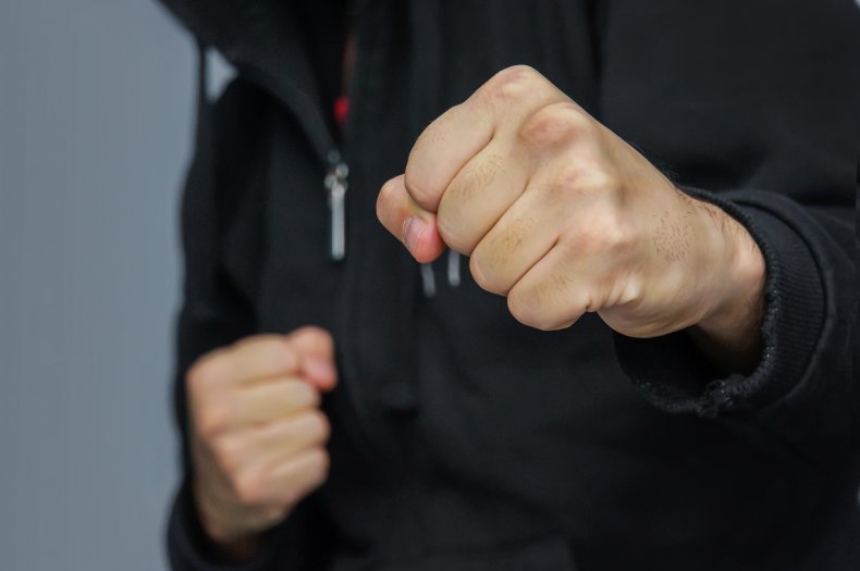 unarmed combat, fist fight