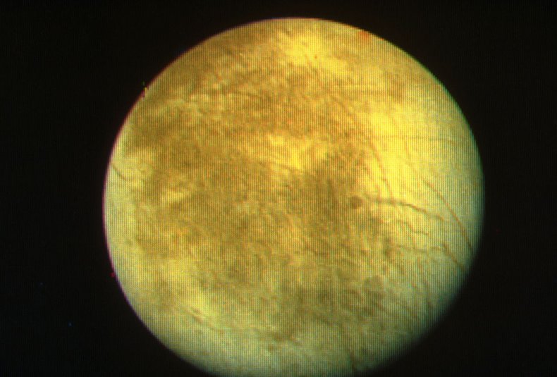 Europa