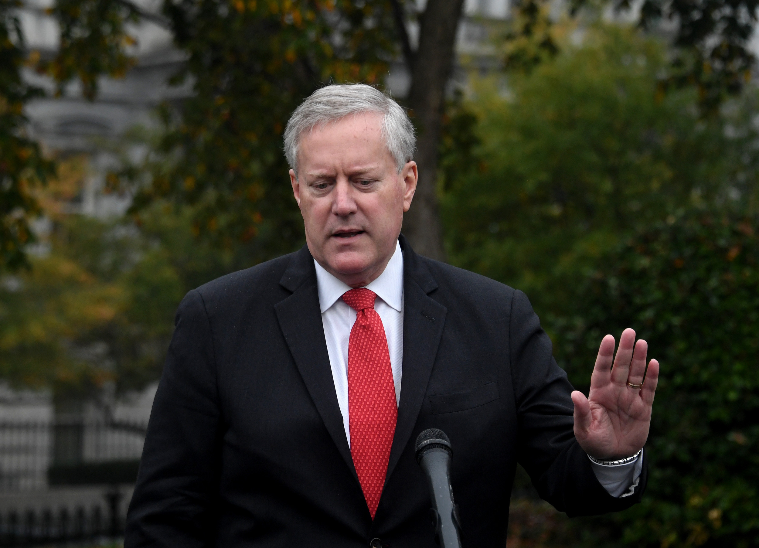 House Votes 222-208 to Hold Mark Meadows in Contempt of Congress - Newsweek