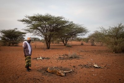 Kenya drought Kenya drought
