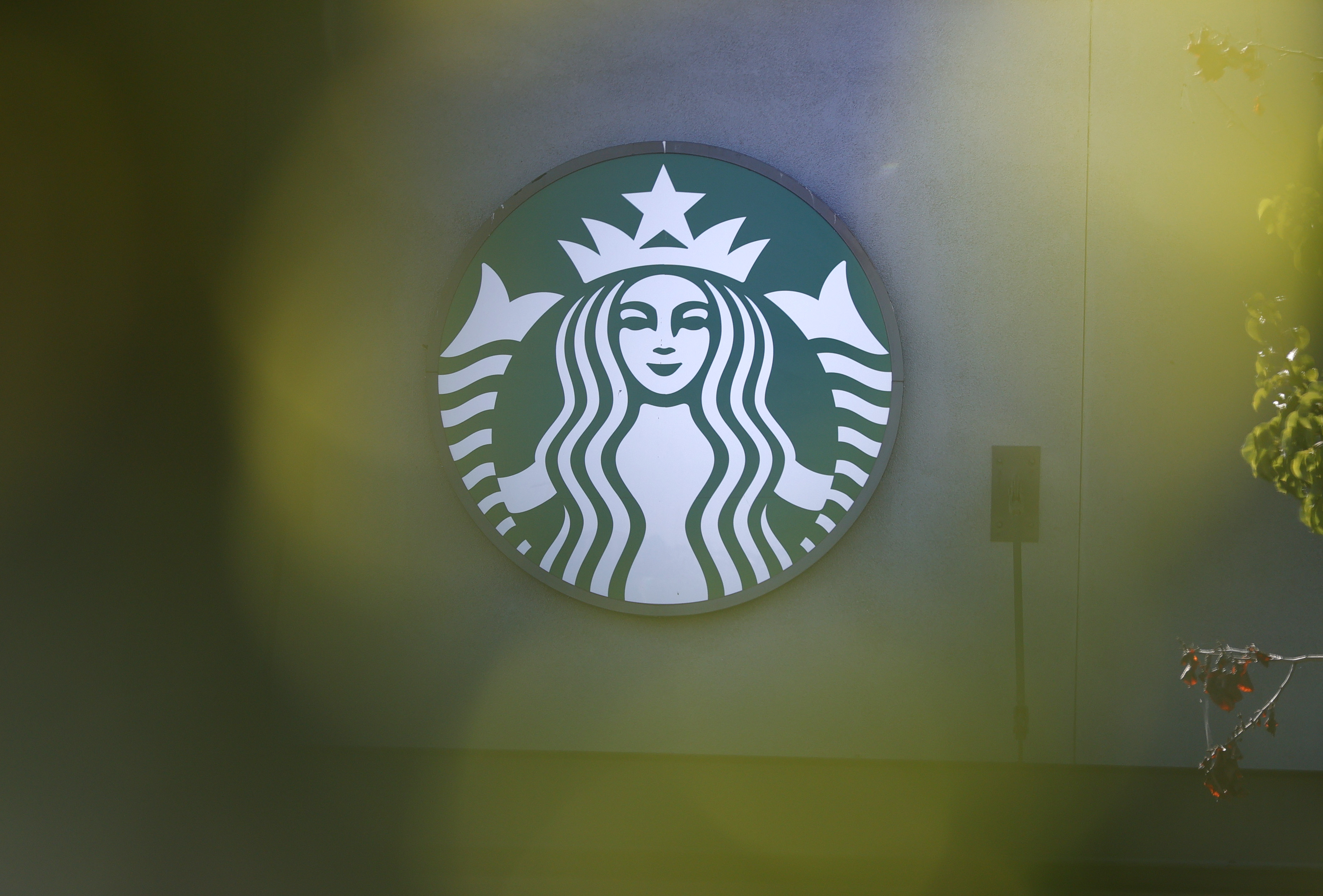 This Viral Starbucks Video Featuring Ariel Is Going Viral