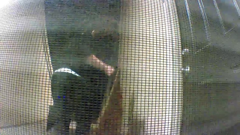 Woman Filmed Taking Neighbours Doormat