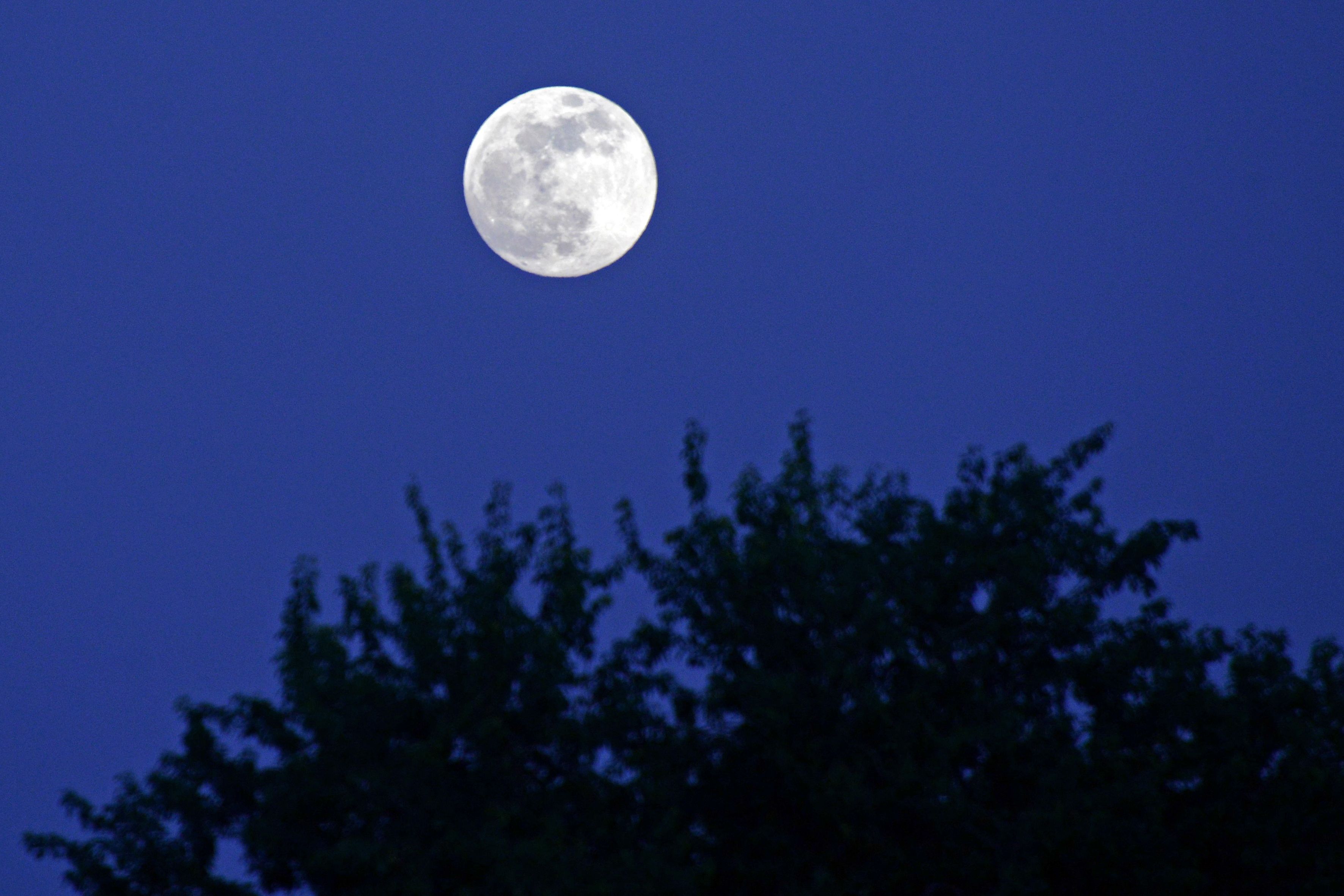Beautiful Photos Show Cold Moon, Last Full Moon of 2021, Shining Around the World