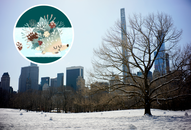 Snow in Central Park with Google Doodle