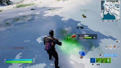 Fortnite Chicken Location Fortnite Chicken Location