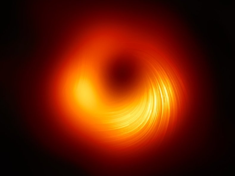 M87 Black Hole in Polarized Light