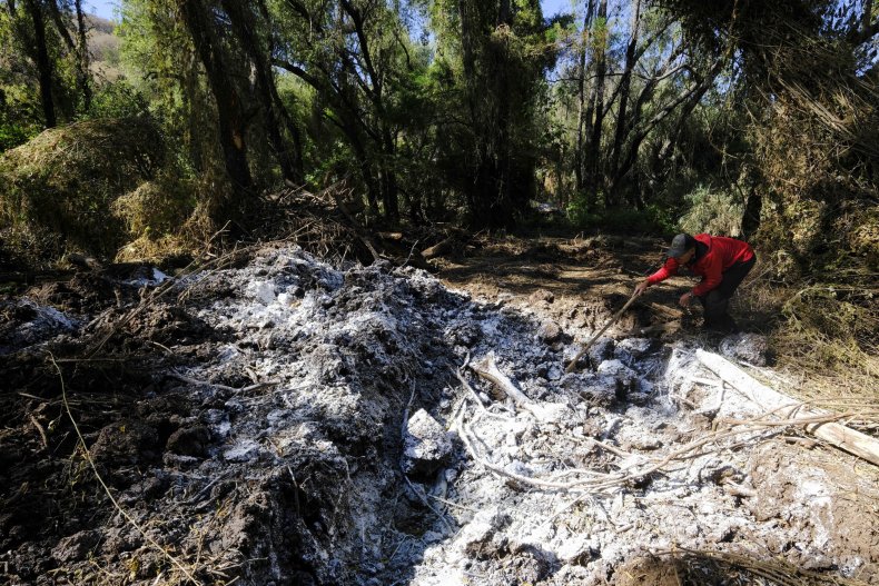 Dead Fish Burial