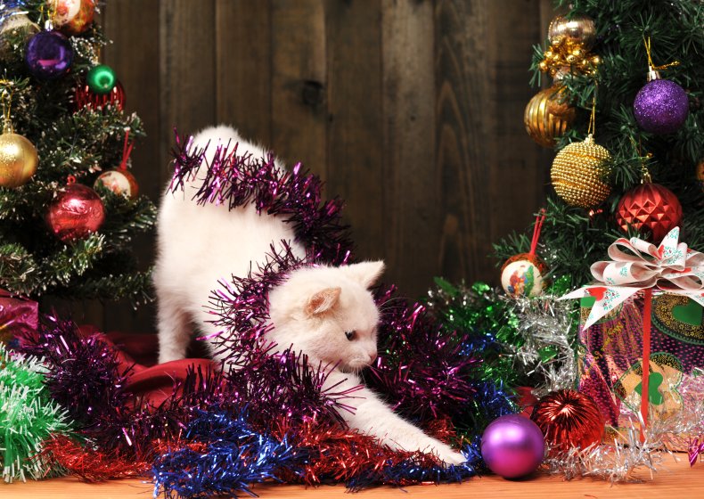 A cat playing with tinsel decorations. 