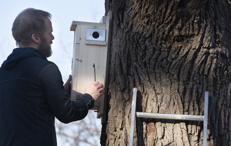 Nesting Box For Flying Squirrels