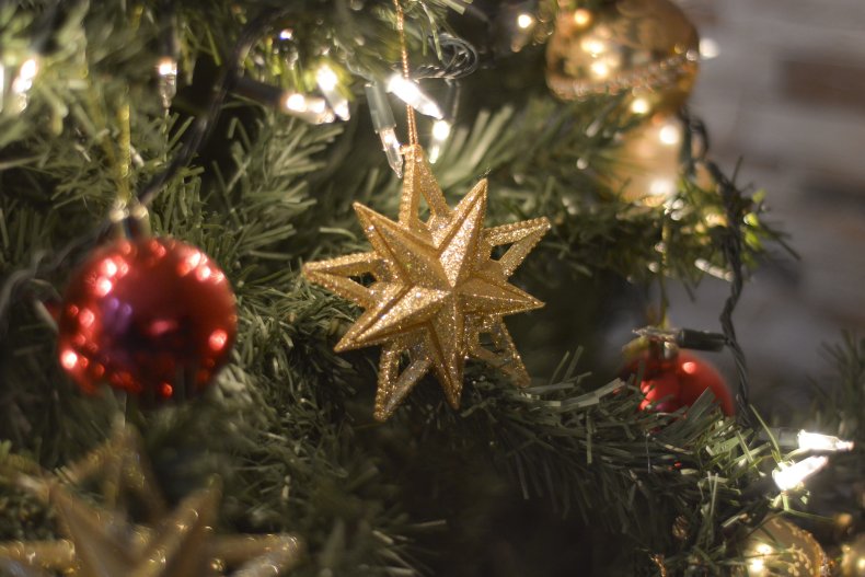 Student Destroys Christmas Tree
