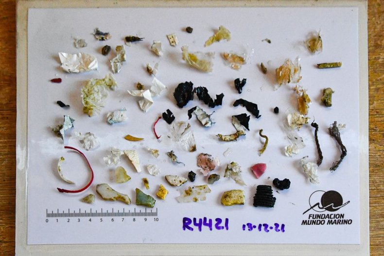 10 types of plastic found