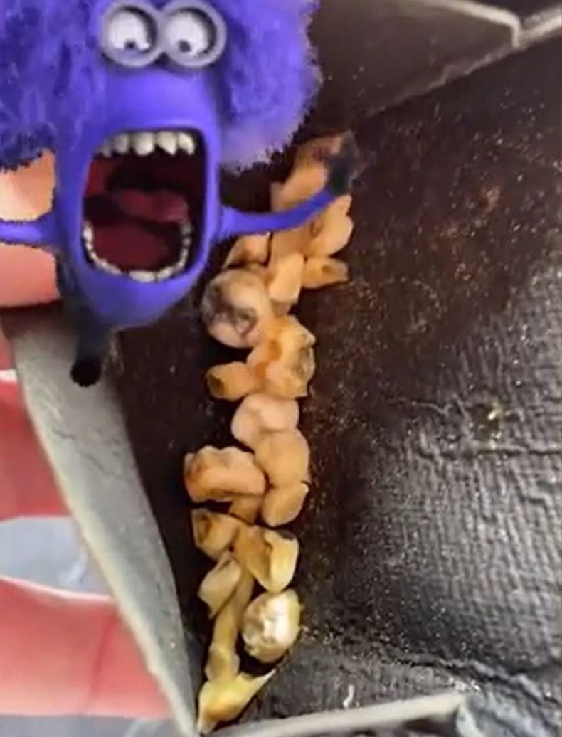 Screengrabs from @Lockerblocker20's video.