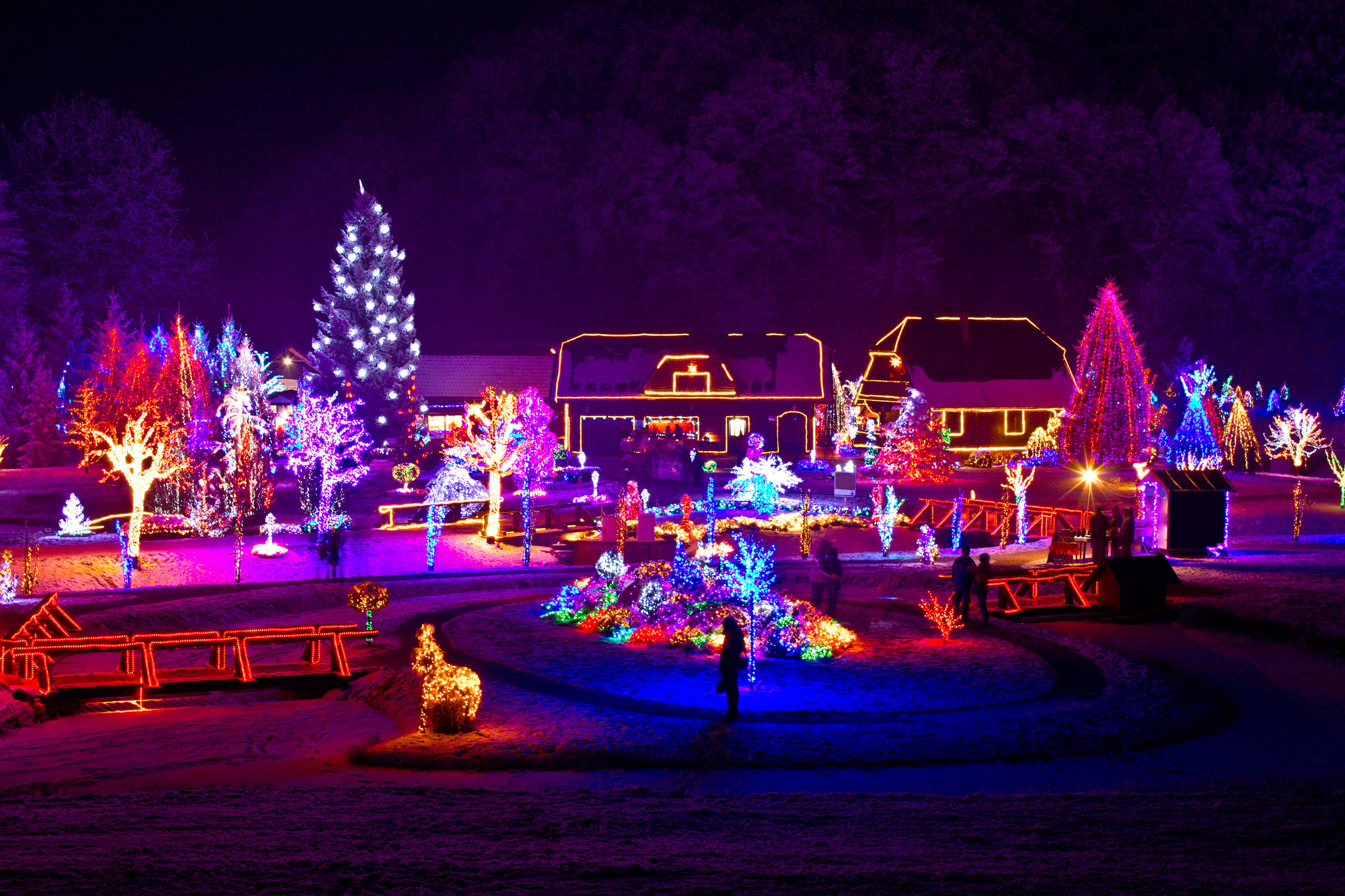 Man Creates Epic Christmas Lights Display Set to Disney's 'Frozen