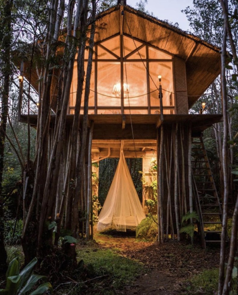 Treehouse in Hawaii