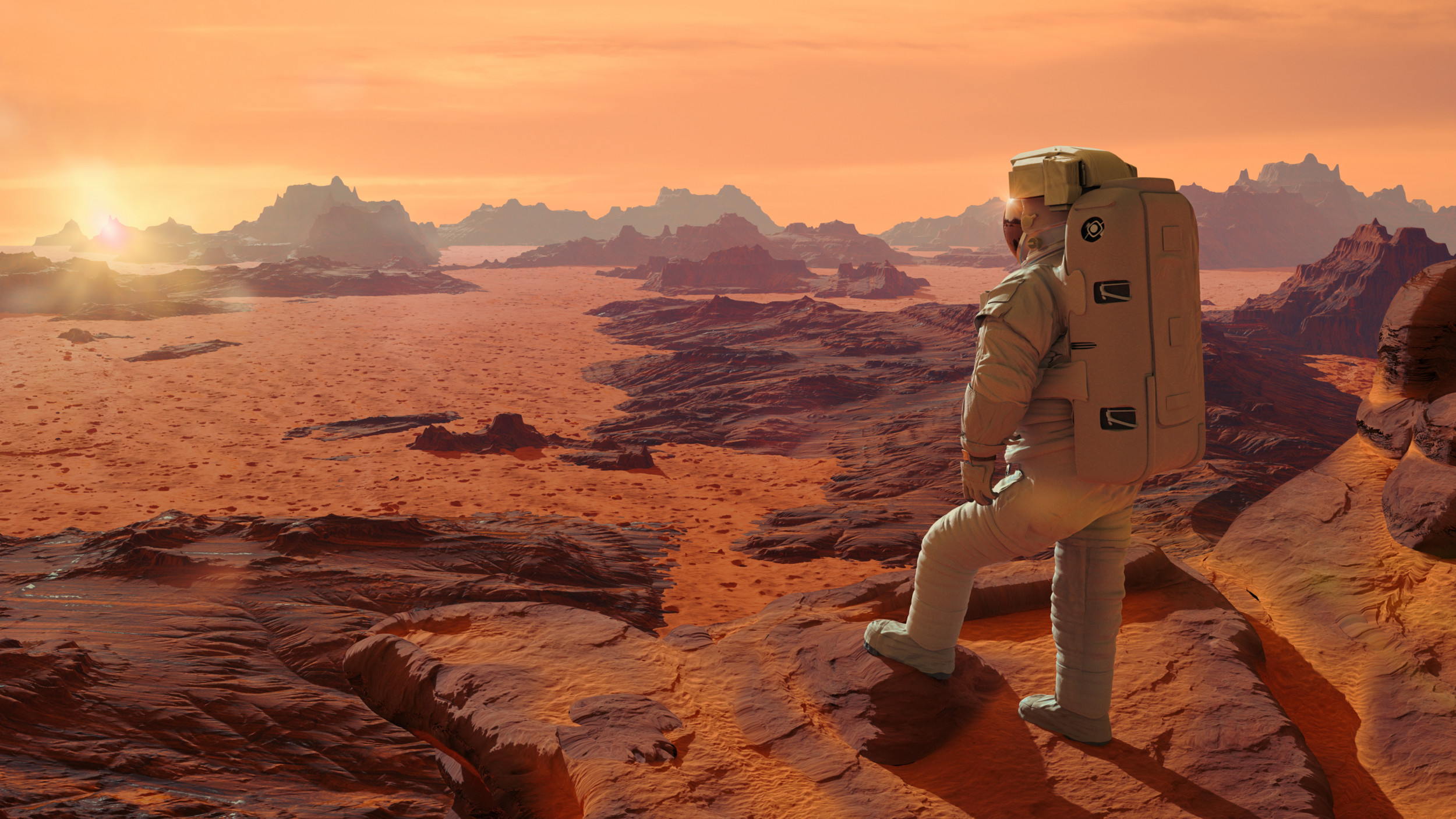 Humans Could Land on Mars in 5 to 10 Years, if Elon Musk Has His Way