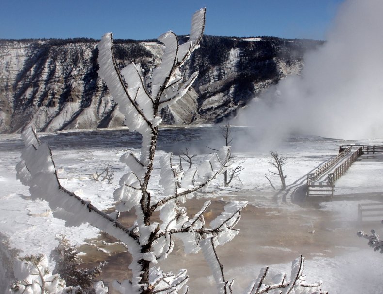 Rime ice